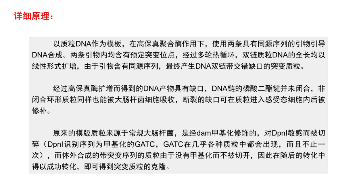 QuikChange法突变，详解！