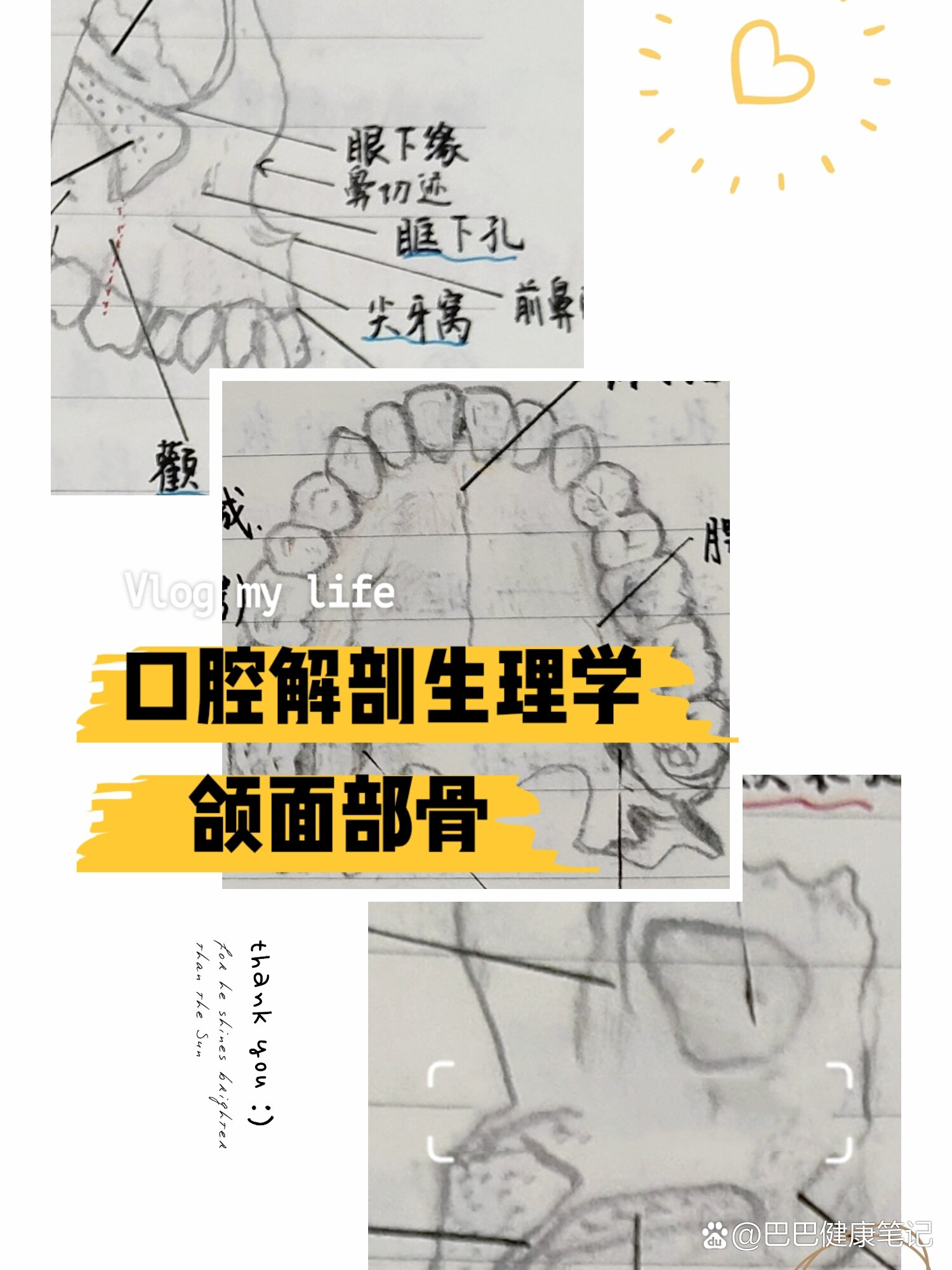 中,需要记住每块骨头的表面标志,还有部分结构的体表标志(例如腭大孔