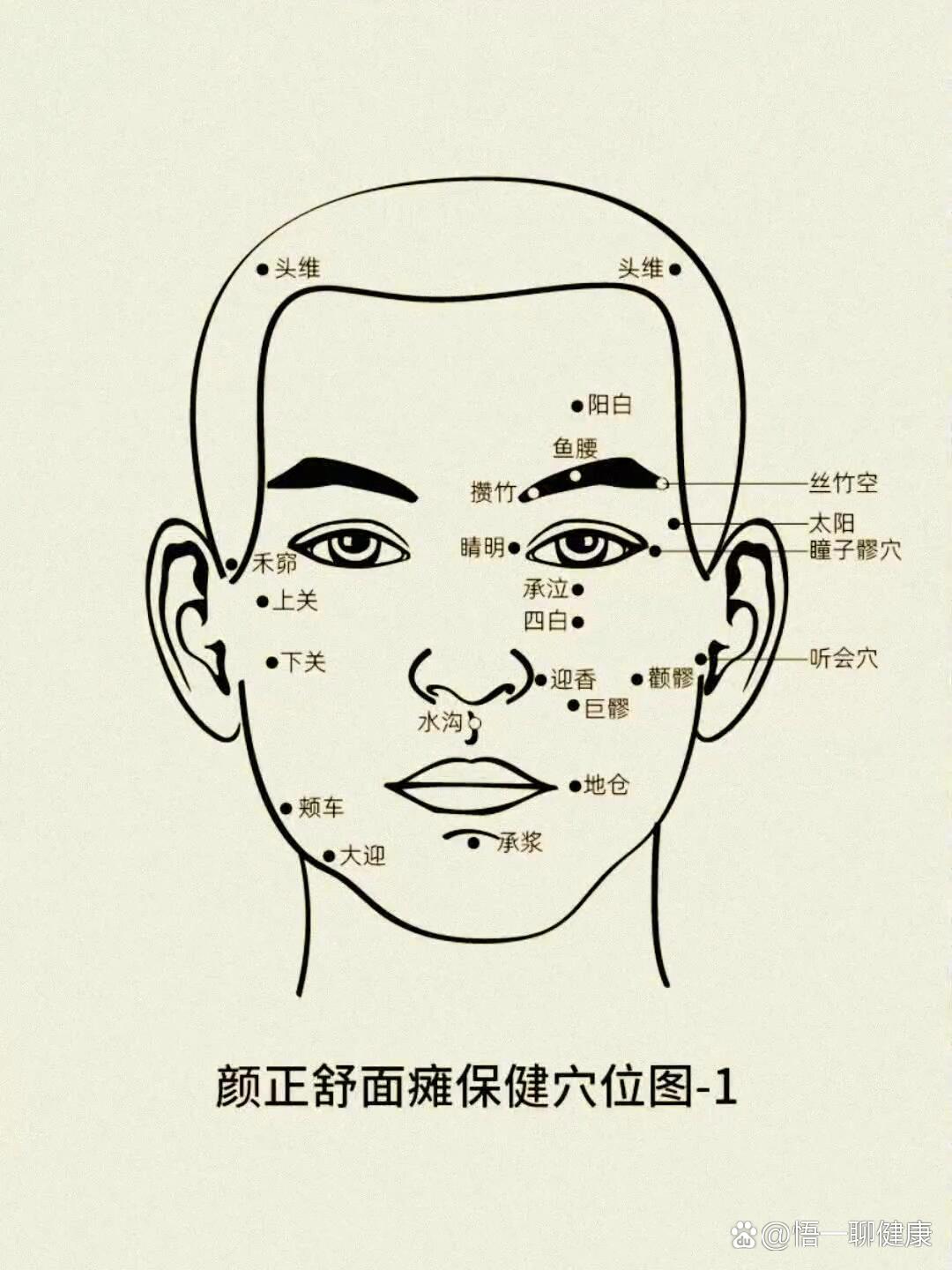 面部学位图解大全图片图片