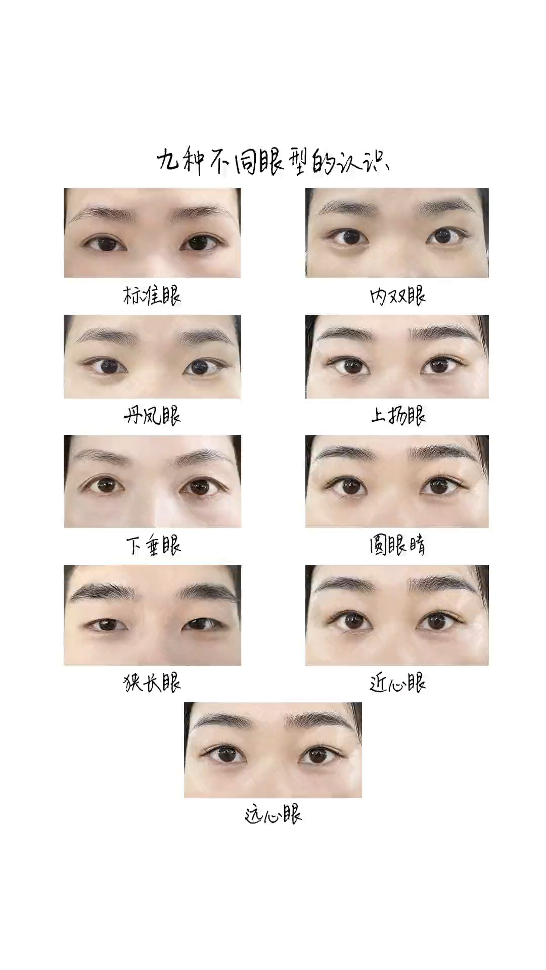 眼睛类型-九种不同眼型的认识