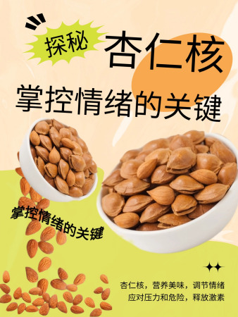 探秘杏仁核:掌控情绪的关键