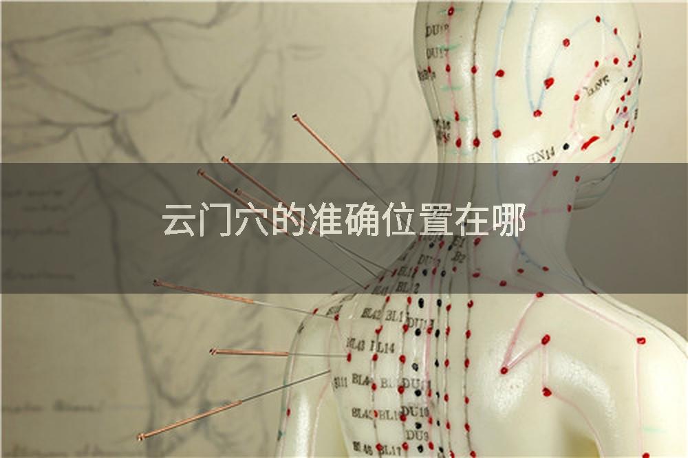 云门穴的准确位置在哪