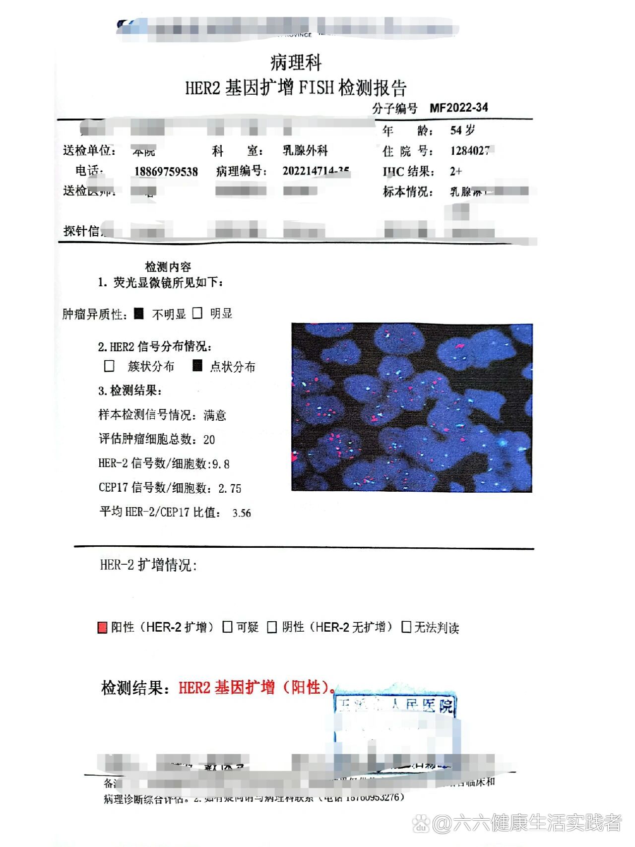 癌症化验单图片制作app图片