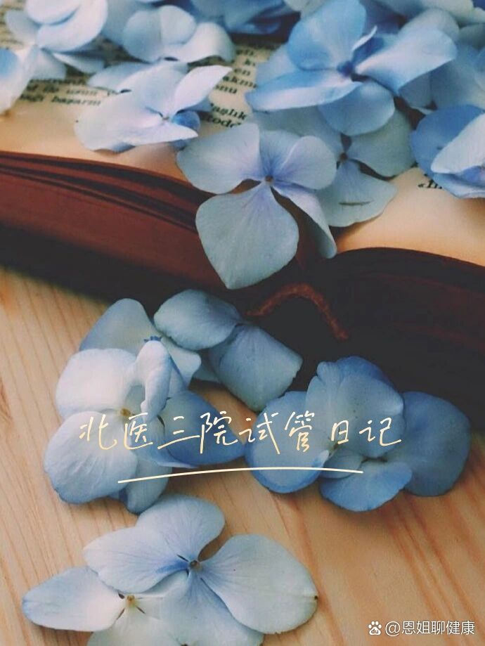 包含北医三院生殖中心"医院黄牛挂号用什么手机",的词条