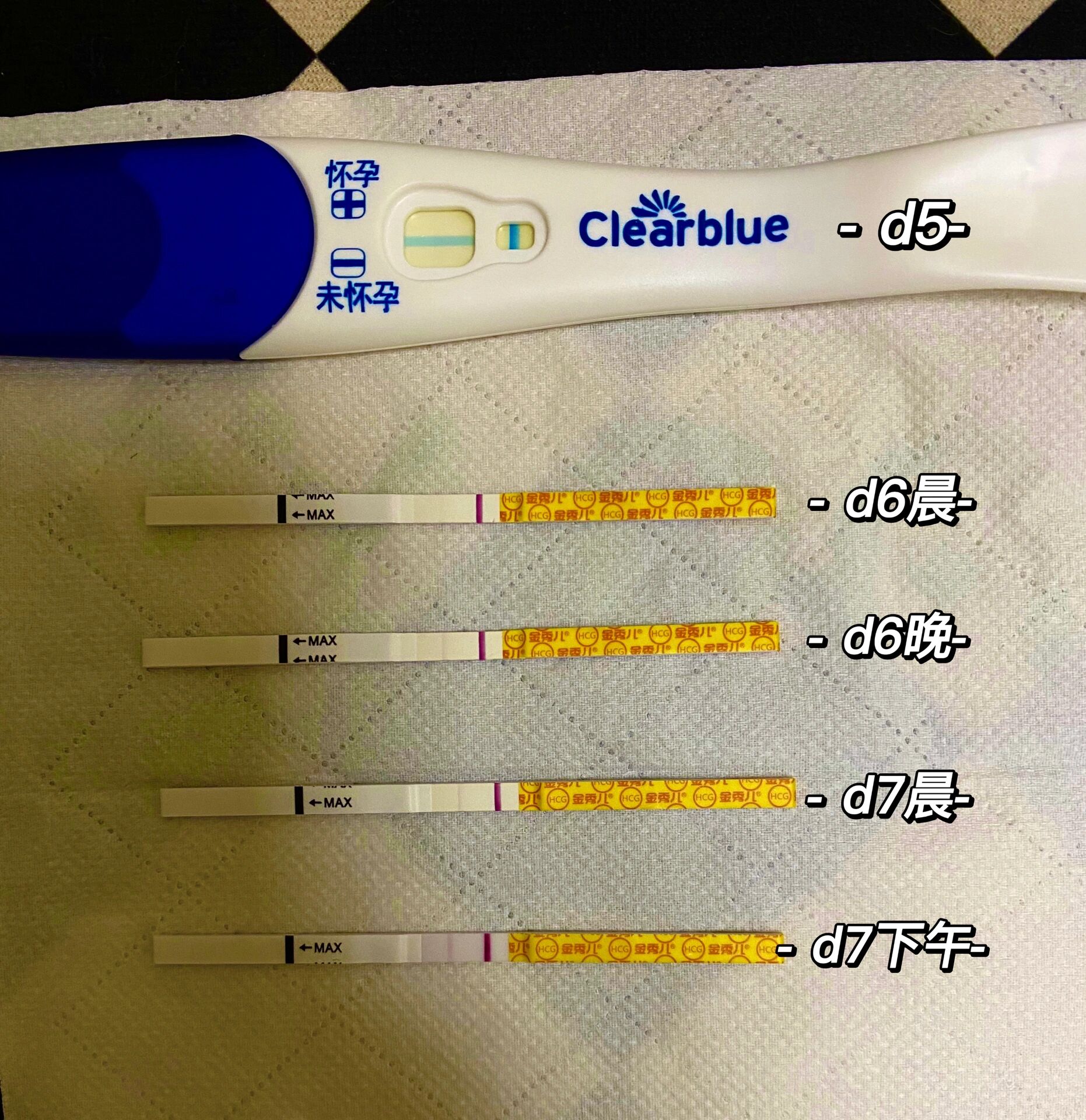 试管移植的成功(试管移植的成功秘诀)