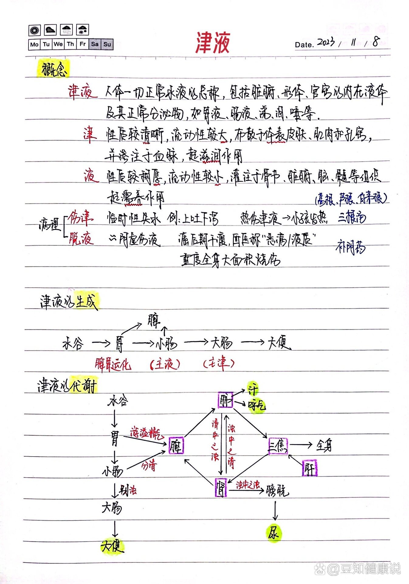 排泄护理知识导图图片