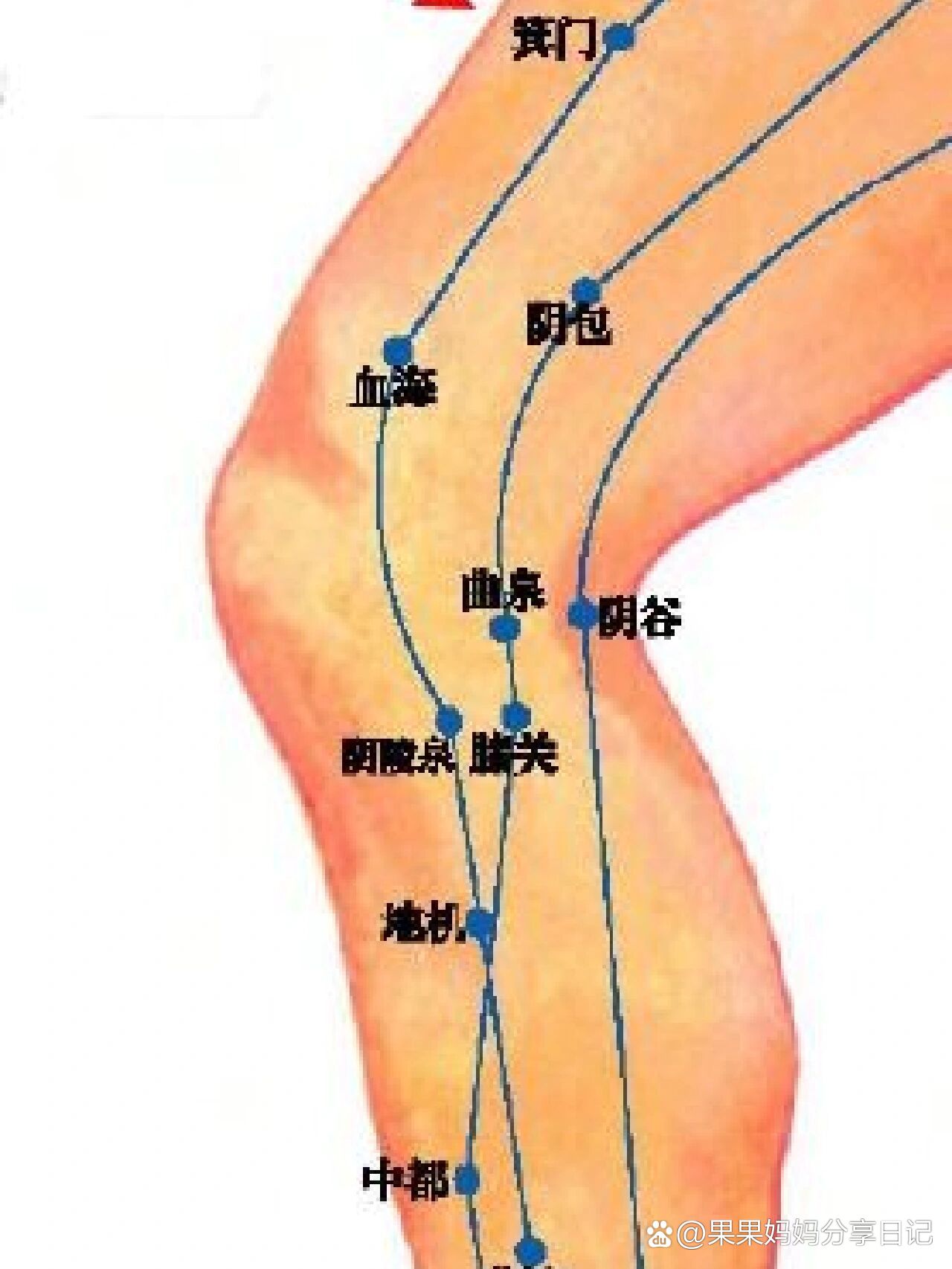 p 穴位小知识