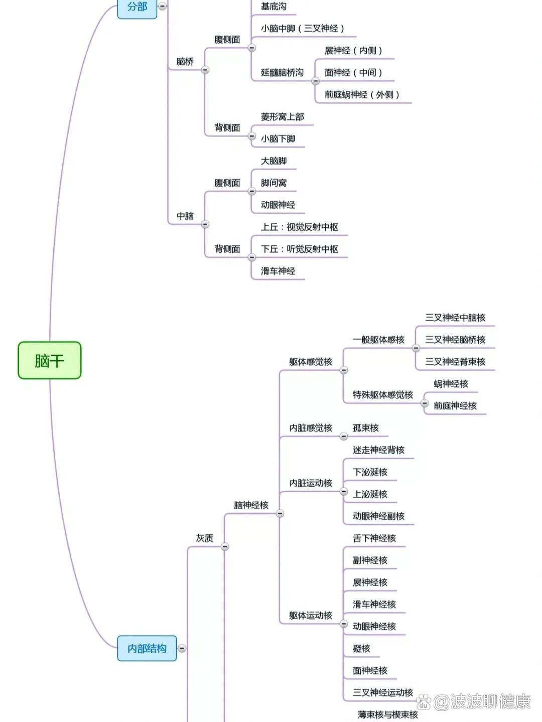 【解剖学】神经系统思维导图1