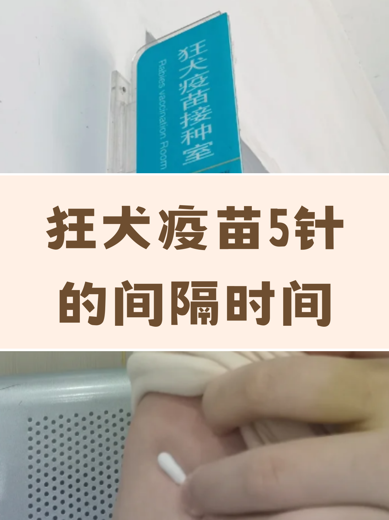 打狂犬疫苗 全网资源