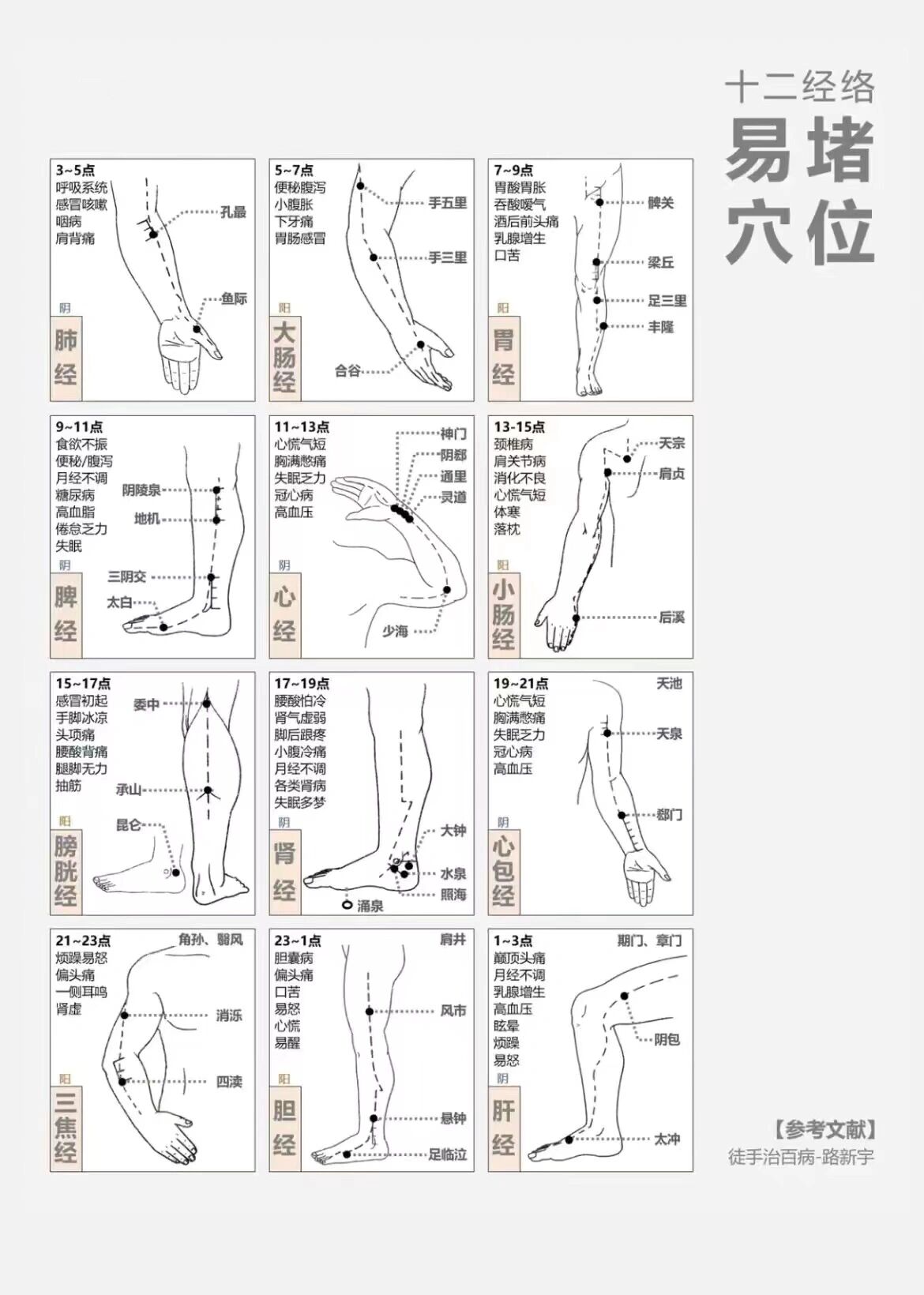 十二经络起点至止点图图片