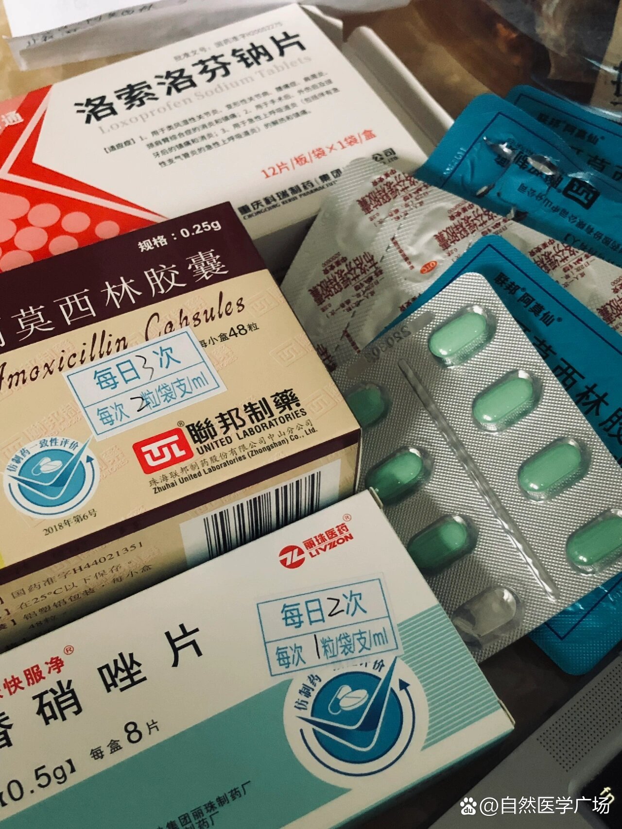 常见消炎药 全网资源