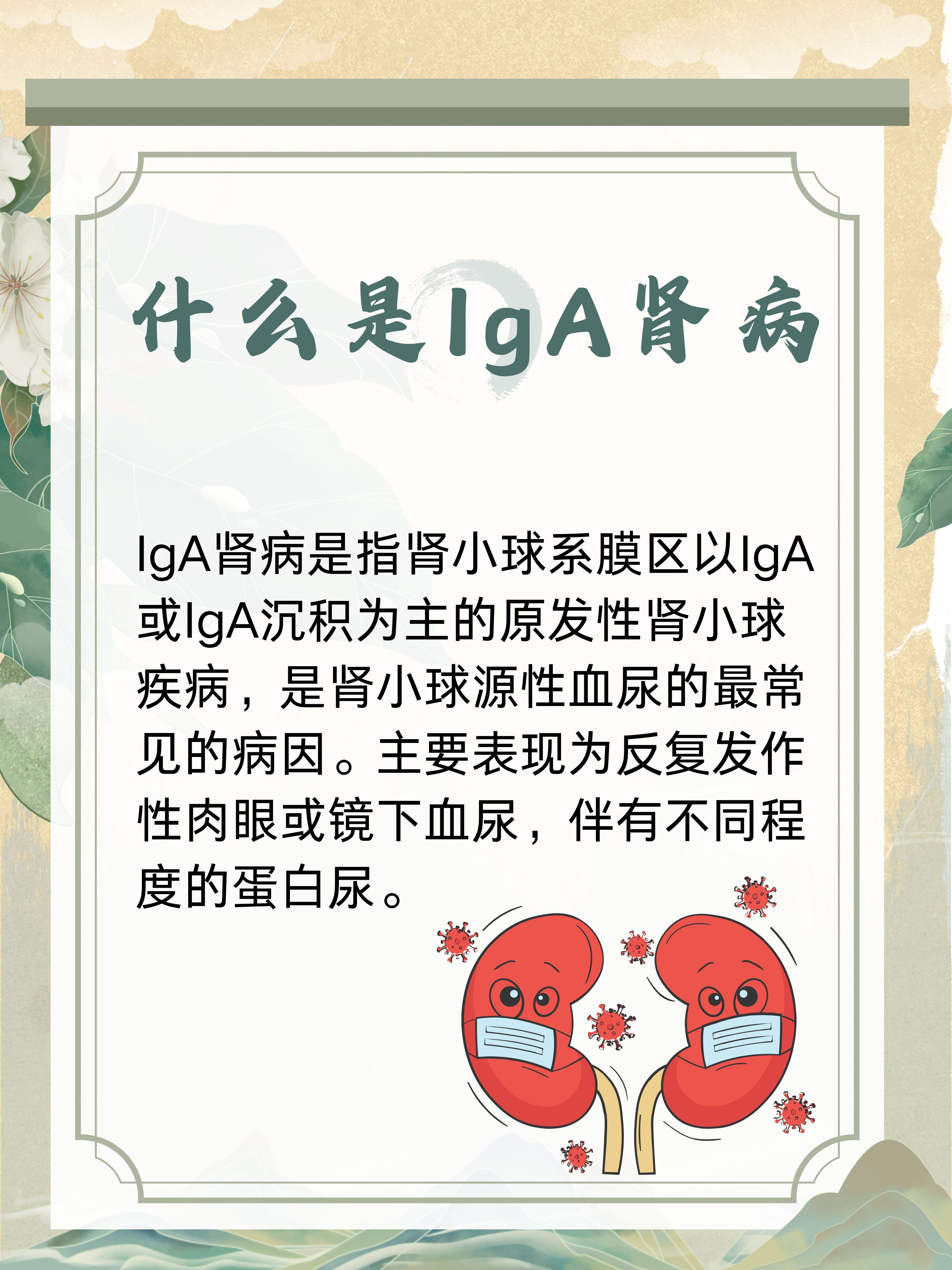 iga肾病是什么病一文揭秘