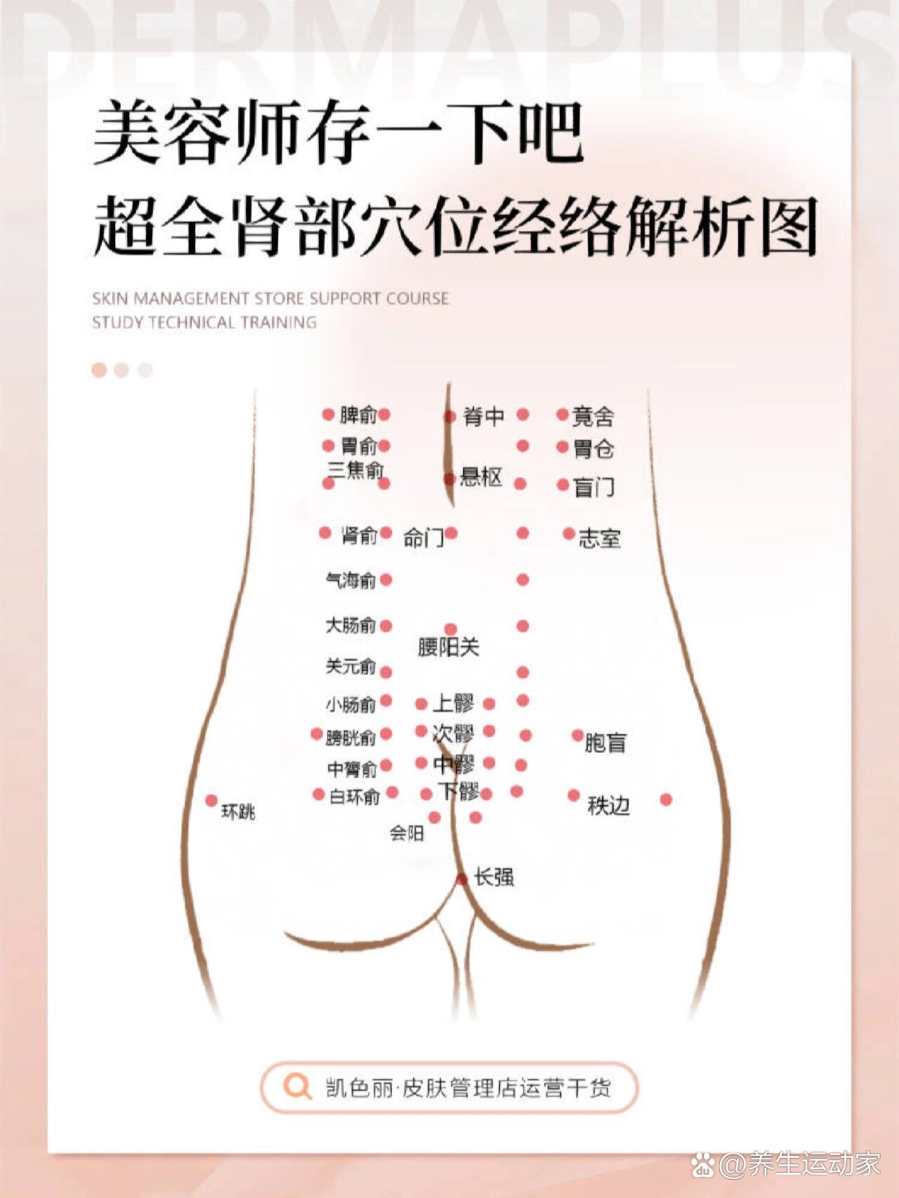 超全肾部穴位经络解析图