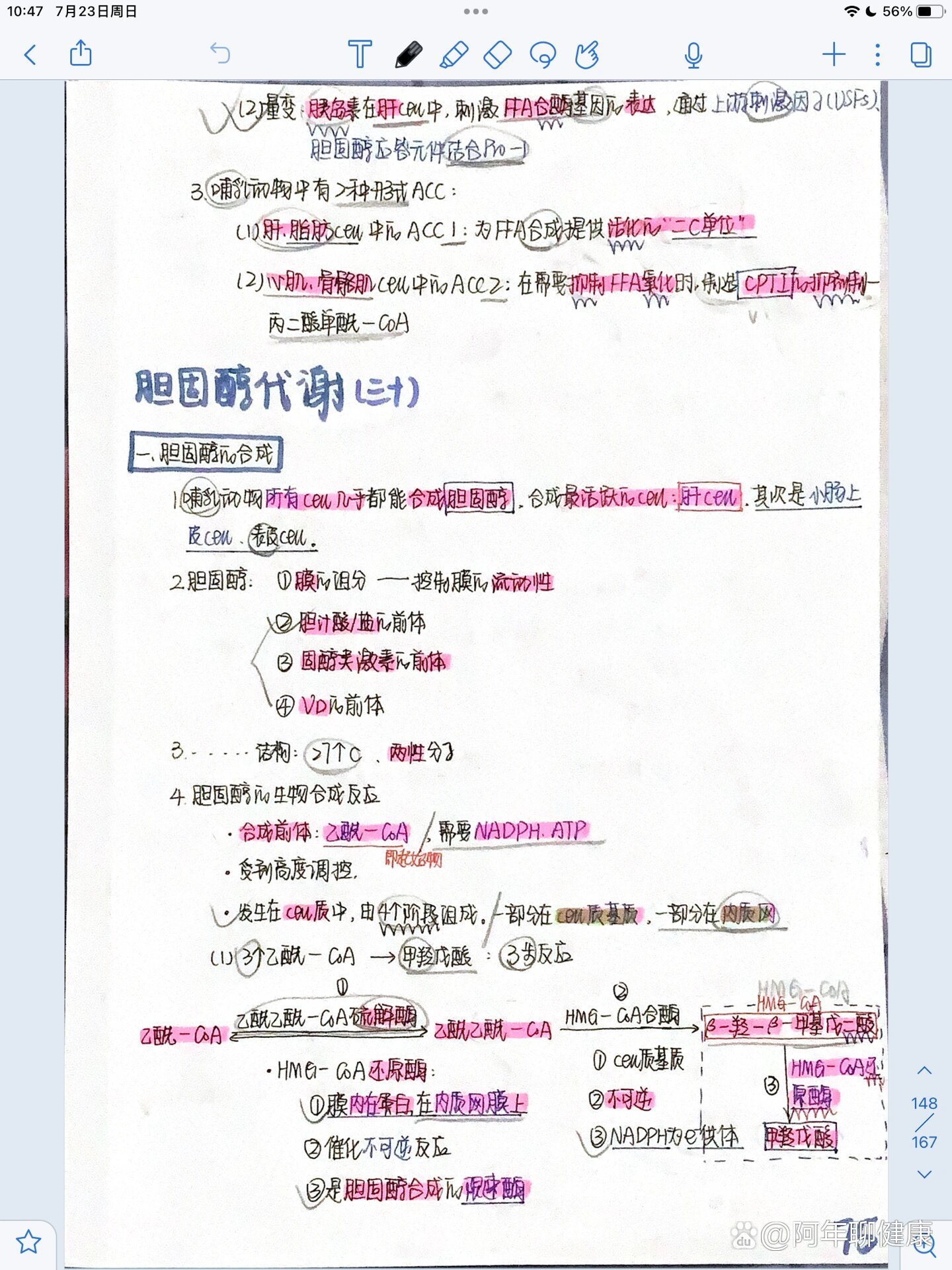 生物化学|胆固醇代谢笔记95