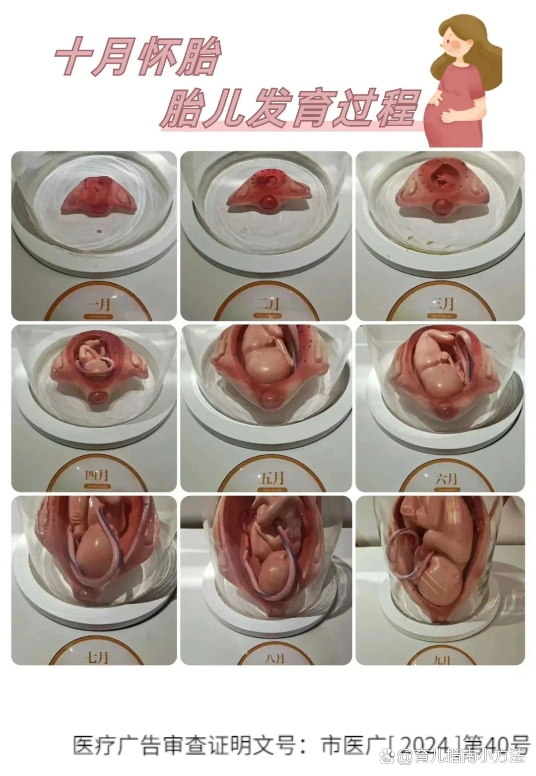 怀胎十月,一朝分娩