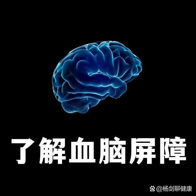 血脑屏障被破坏图片