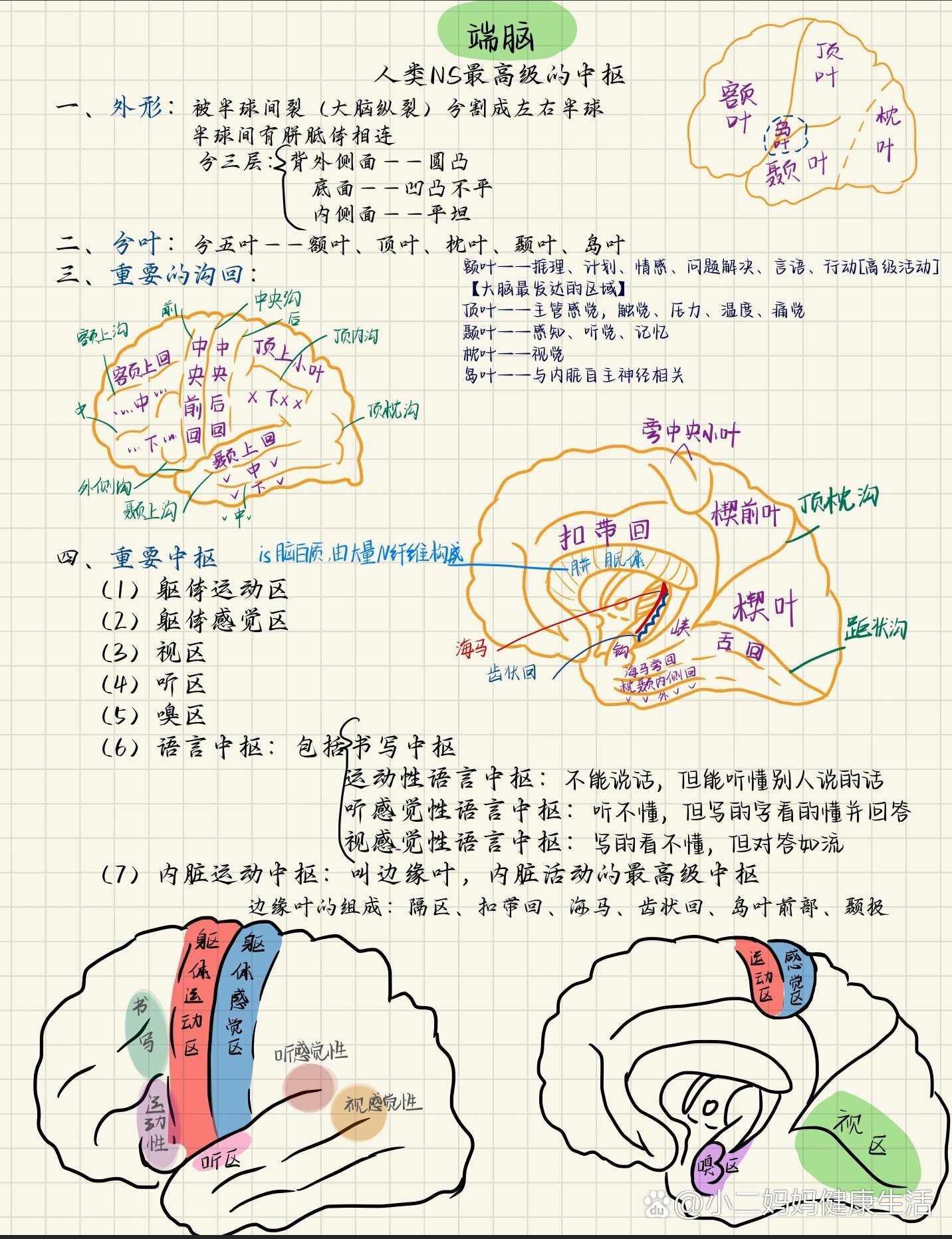  p>端脑 |解剖学 br>端脑,内囊损伤 /p>