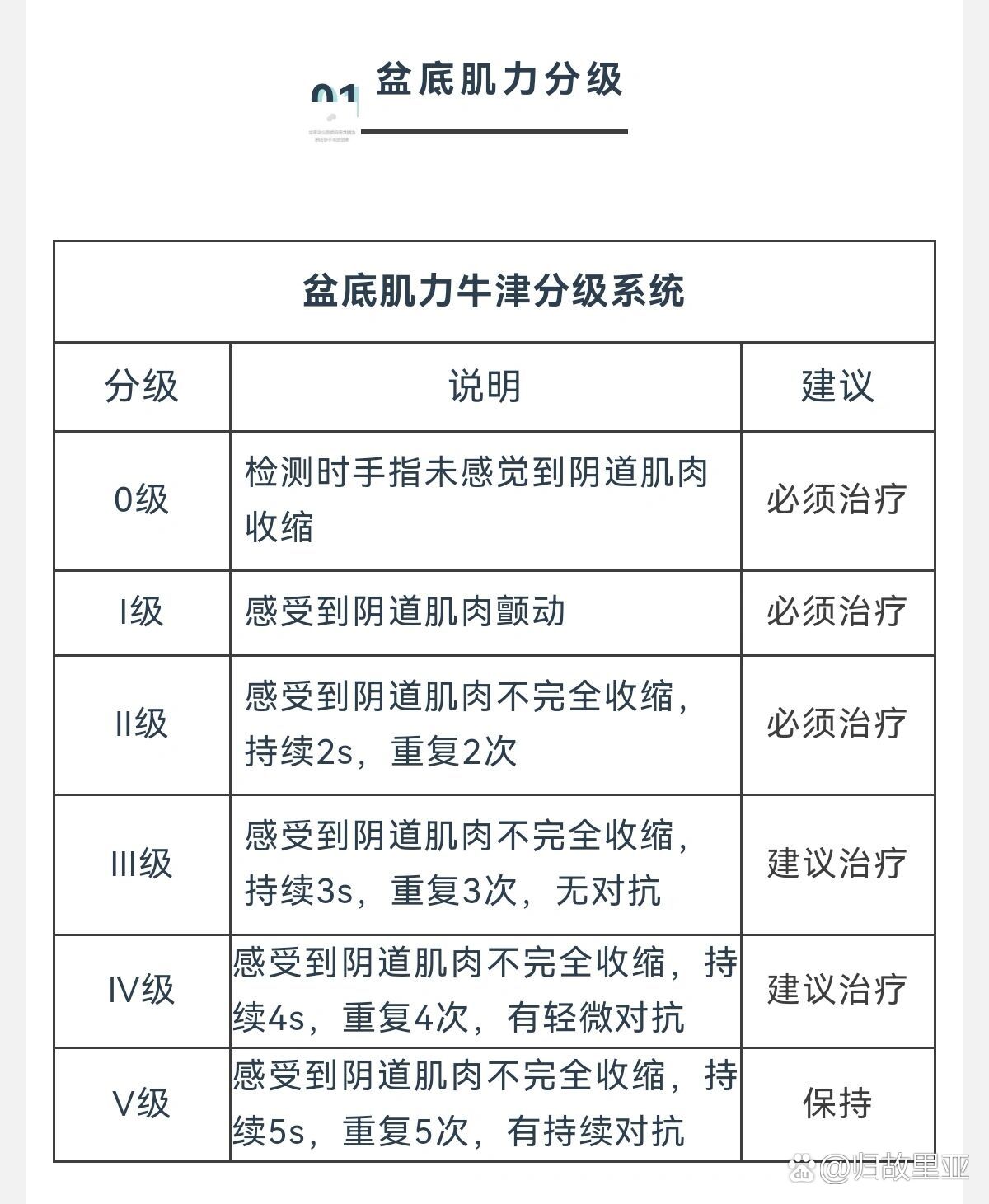 盆底肌力分几级?