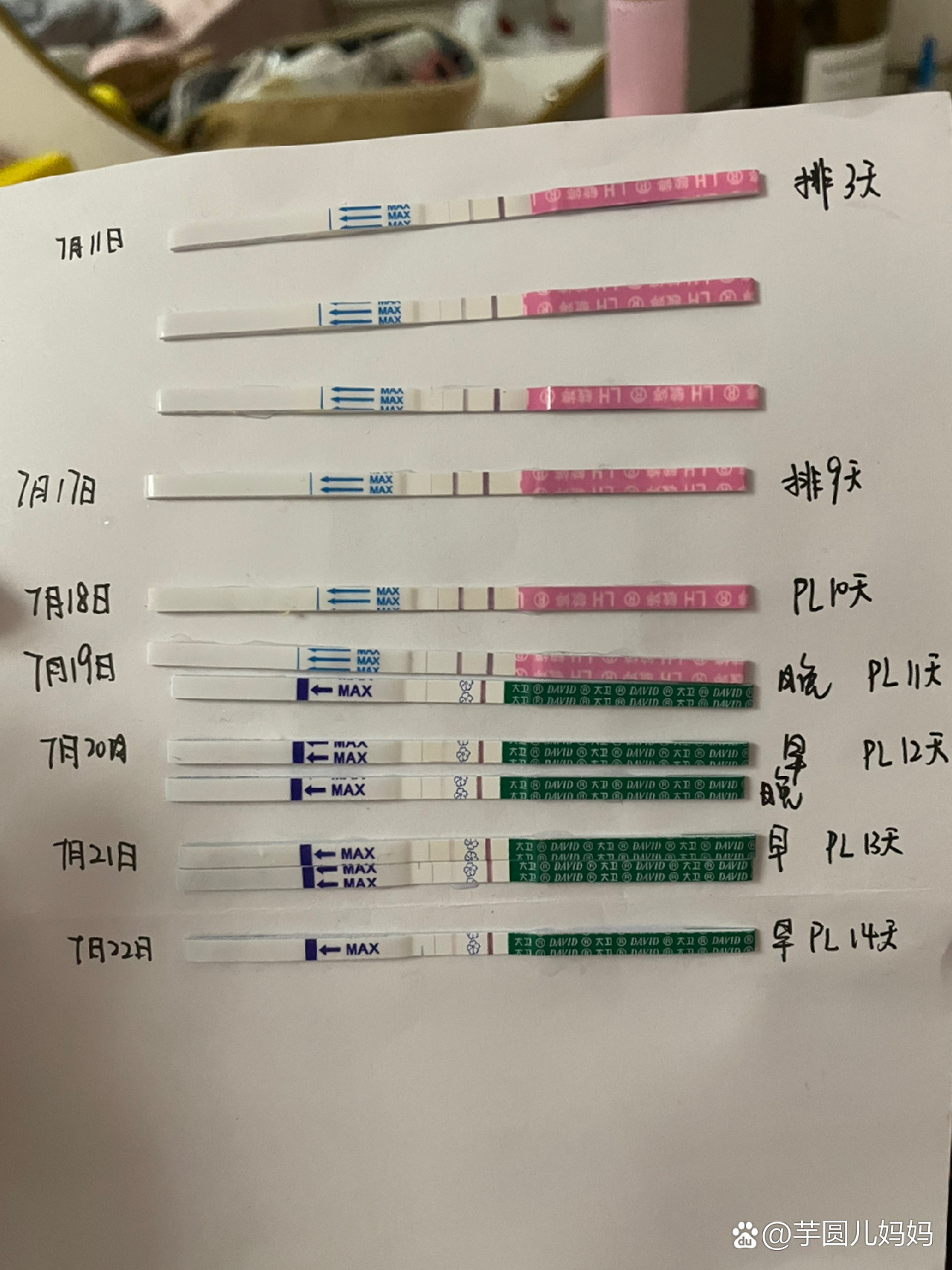 怀孕试纸对照图片