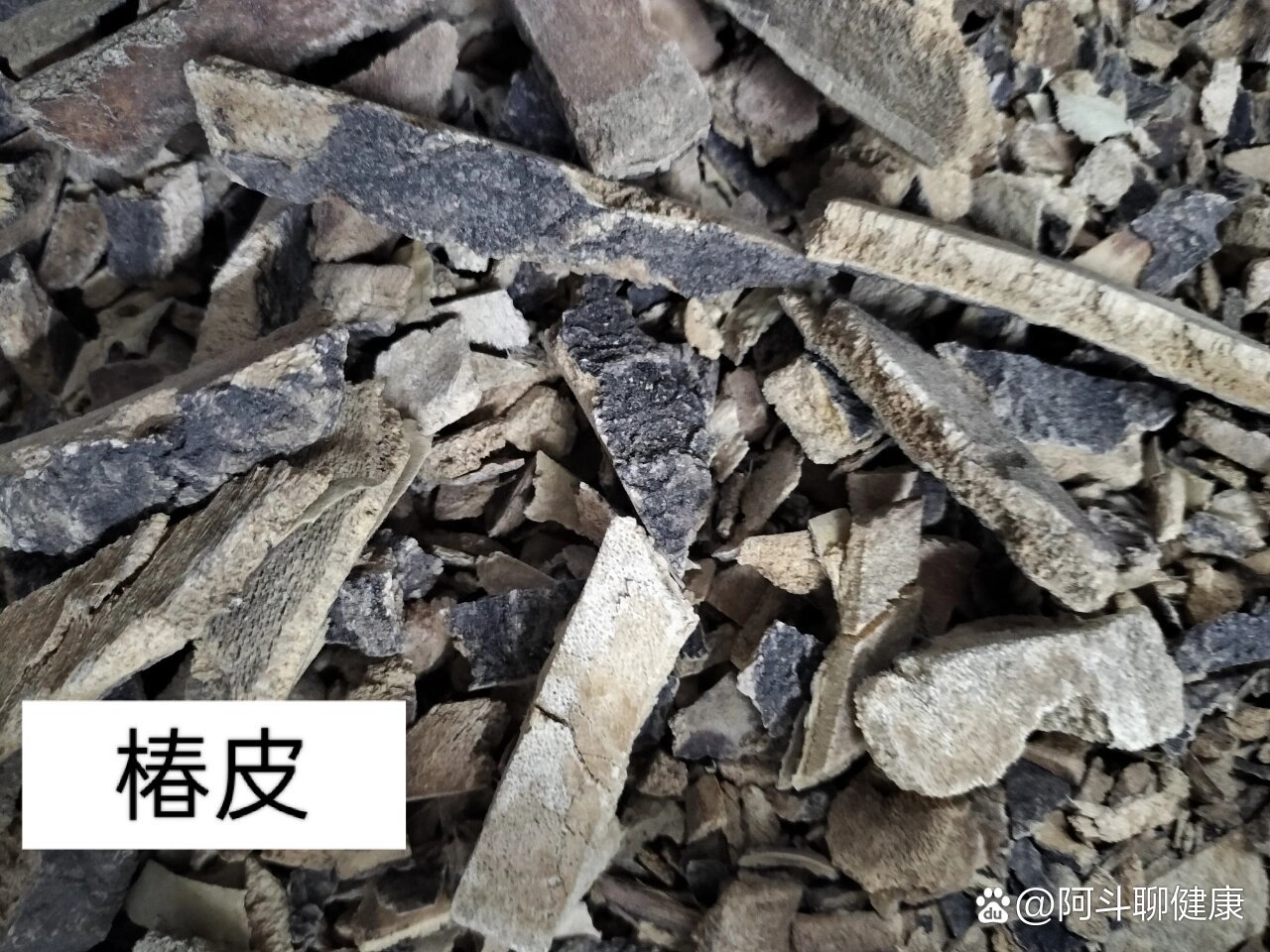 每日懂点中药～椿皮