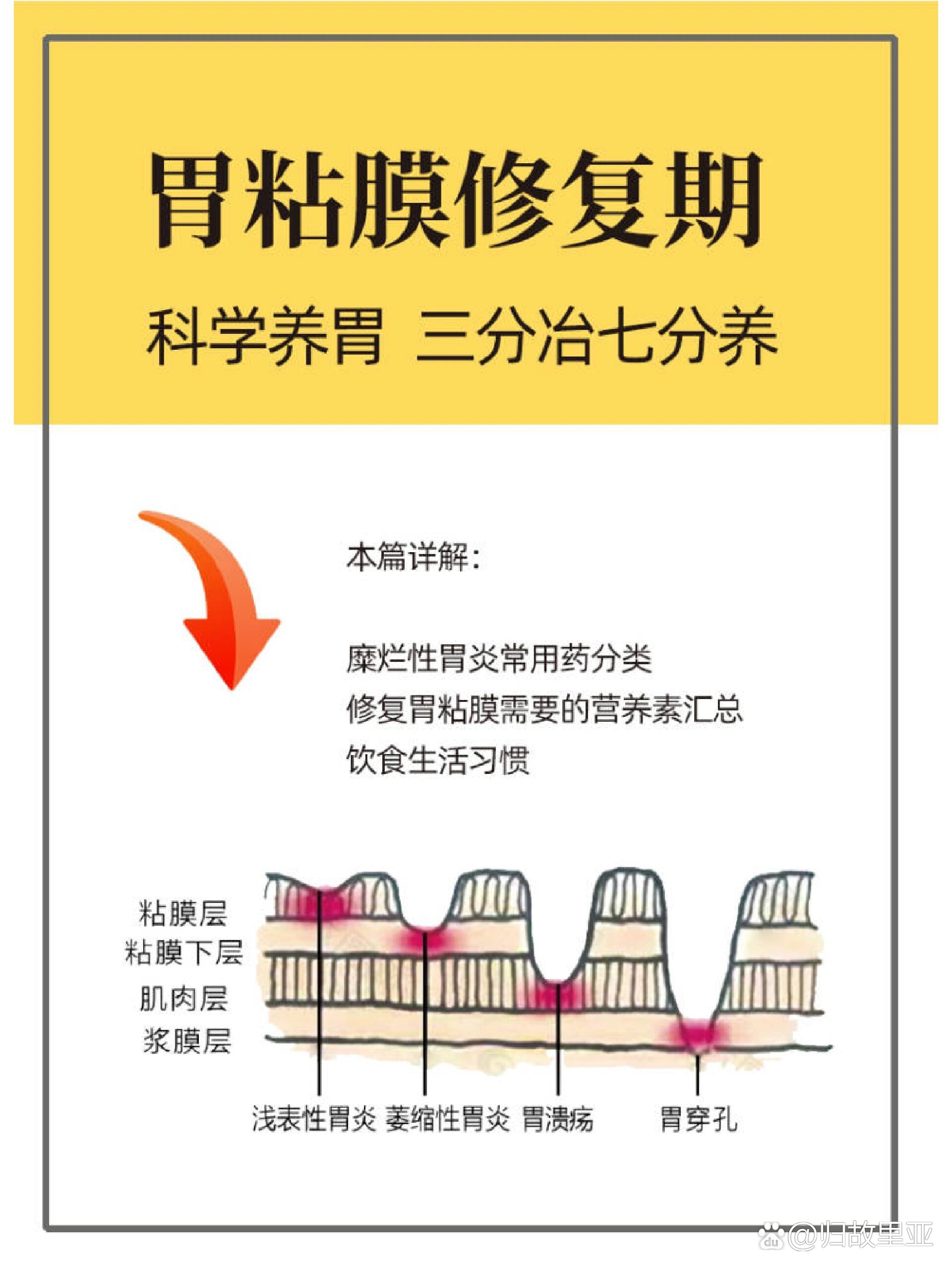 胃粘膜修复期�科学养胃