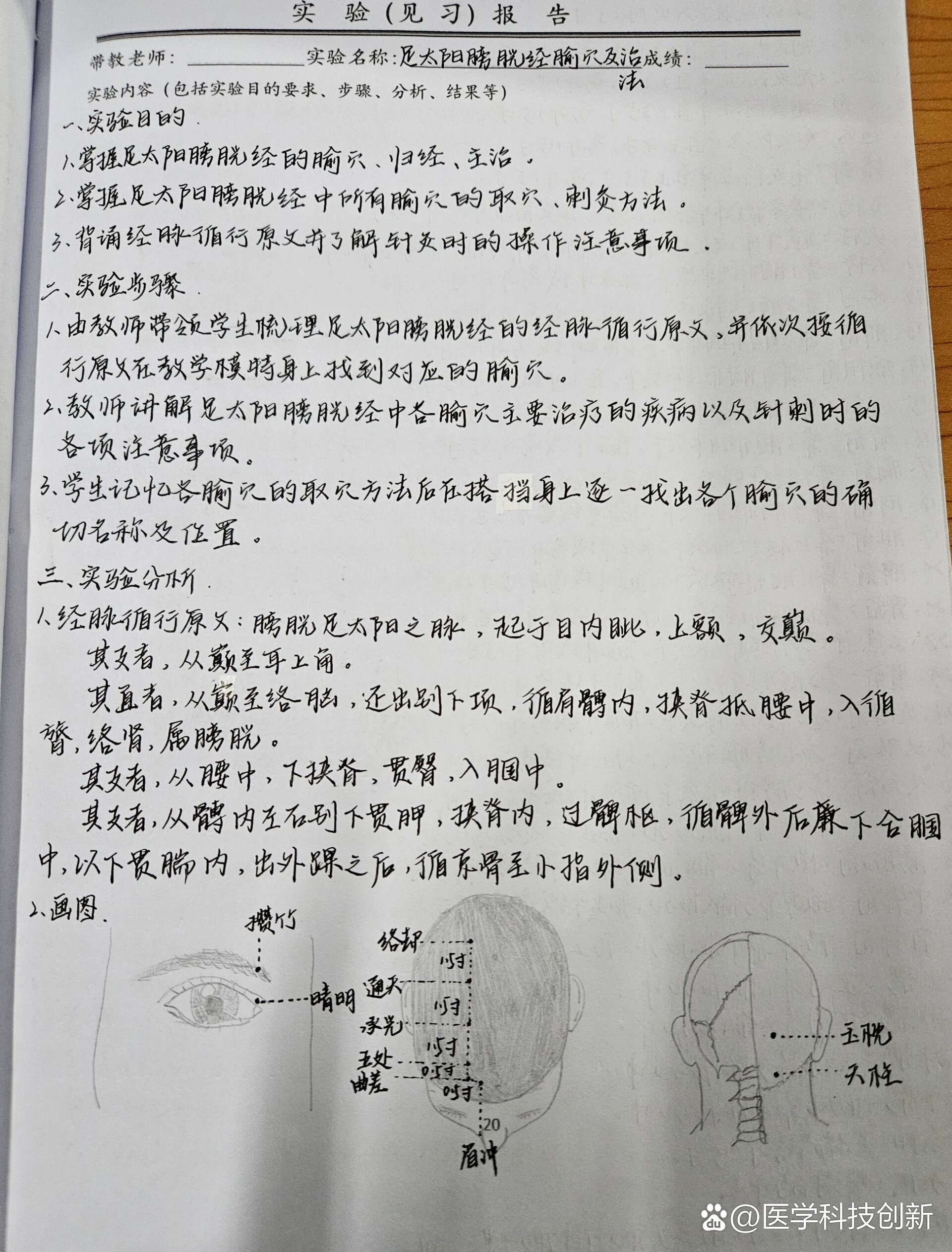 经络腧穴学足太阳膀胱经实验报告