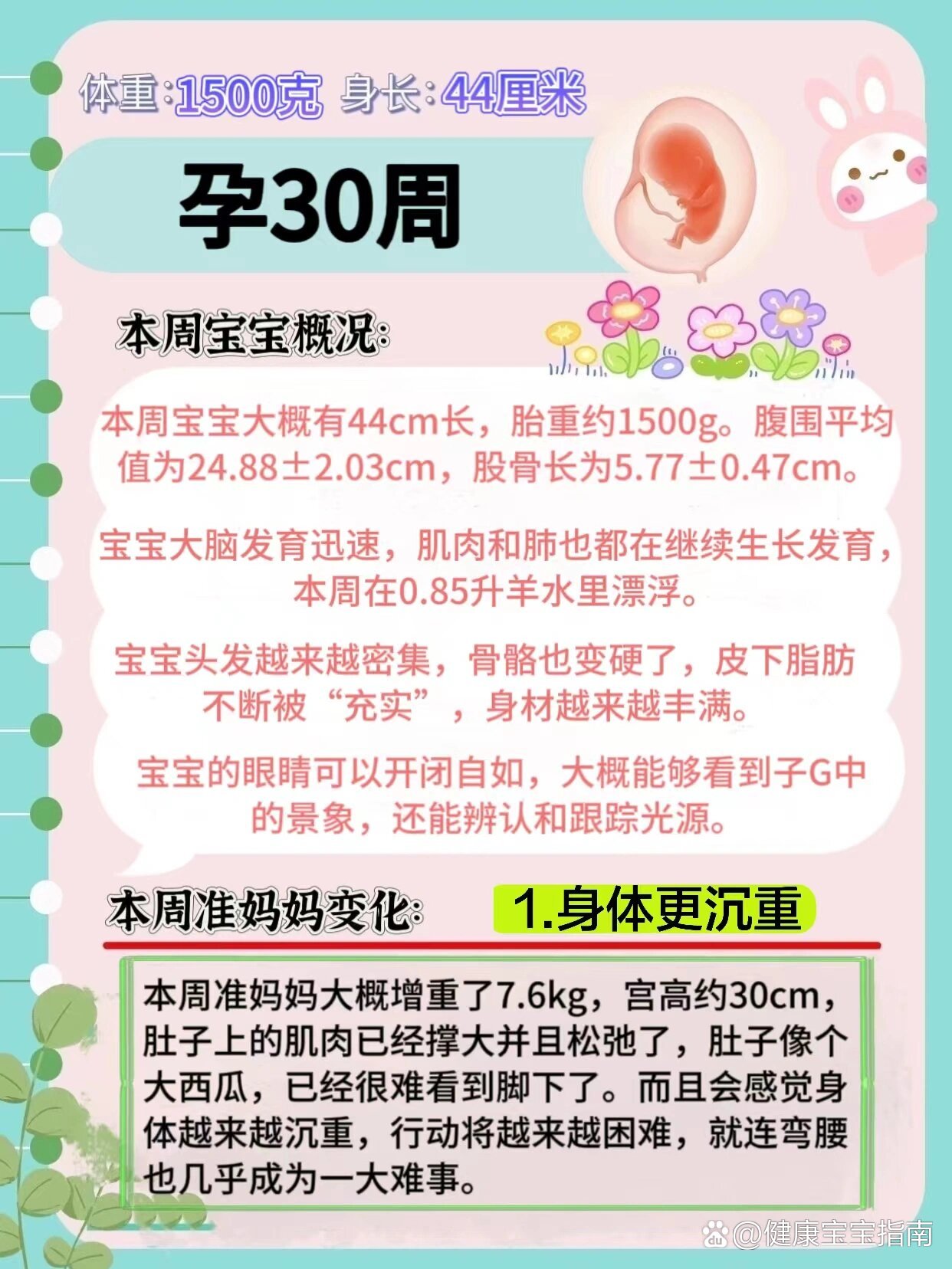 怀孕30周胎儿发育标准图片