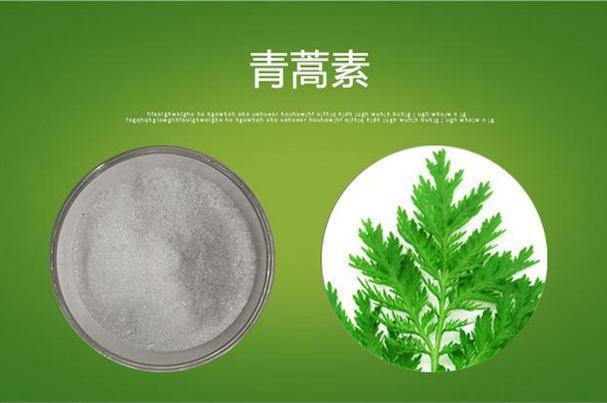 🌿青蒿素与《肘后备急方》的奇妙缘分🌿