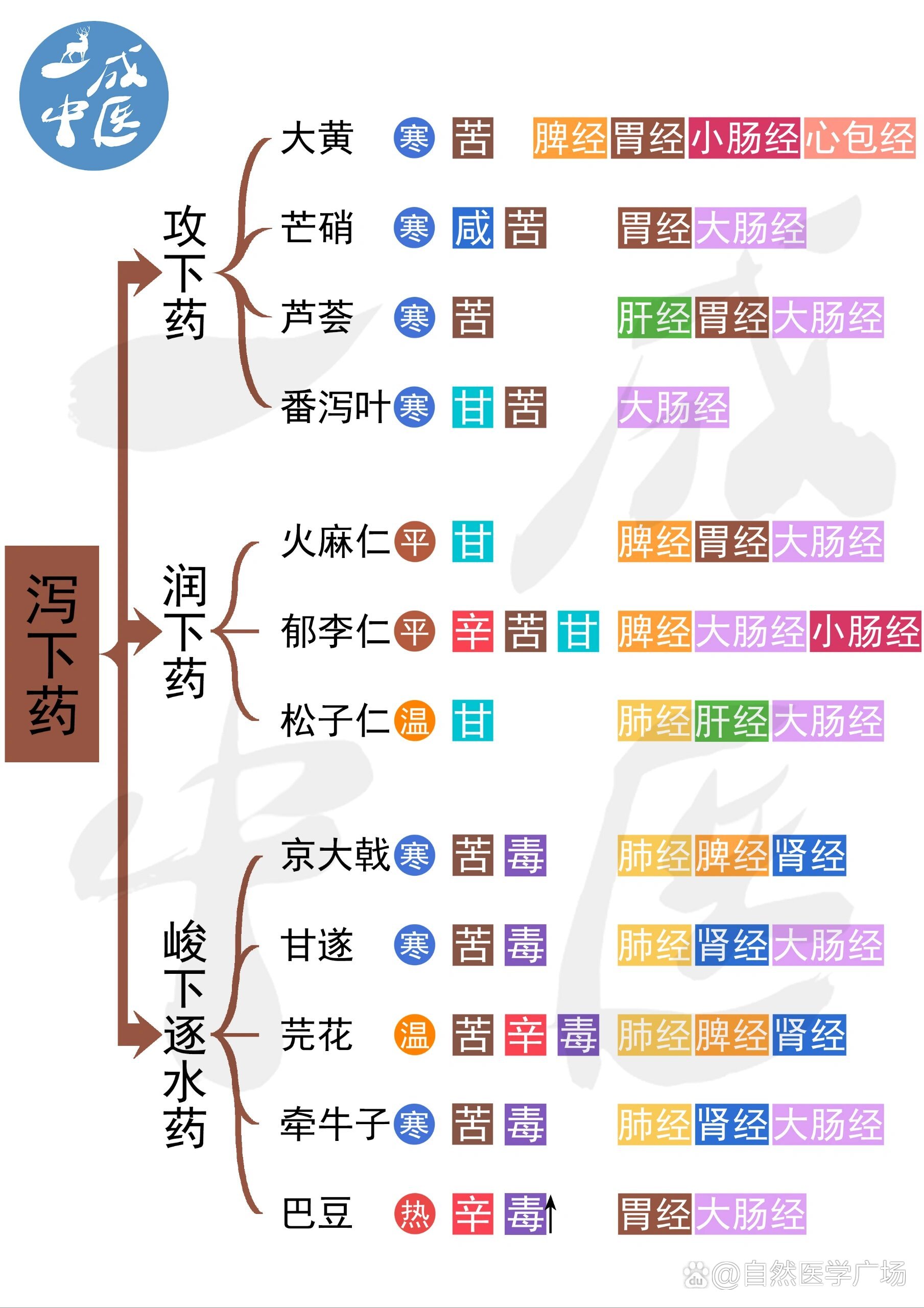 润下剂-《世医得效方》 br>组成:杏仁15g,桃仁15g,柏子仁5g,郁李仁5g