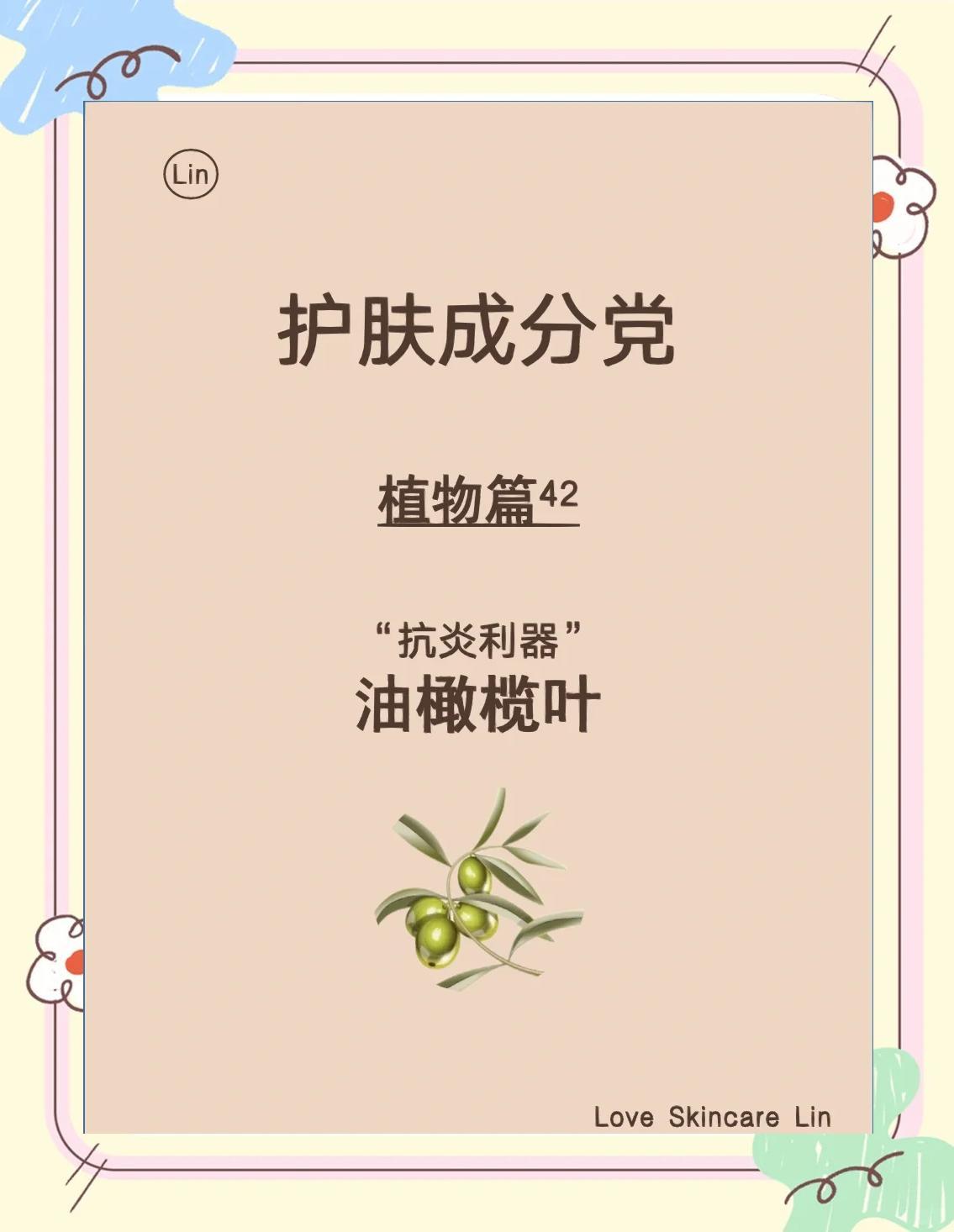 油橄榄叶：护肤界的抗炎小能手