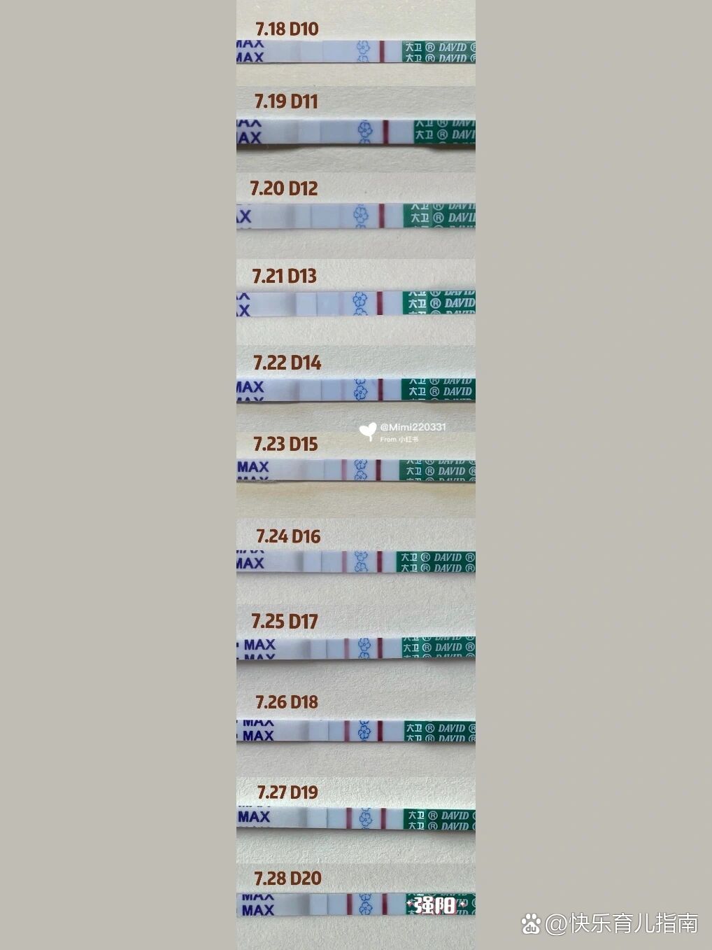 大卫验孕棒怀孕显示图图片