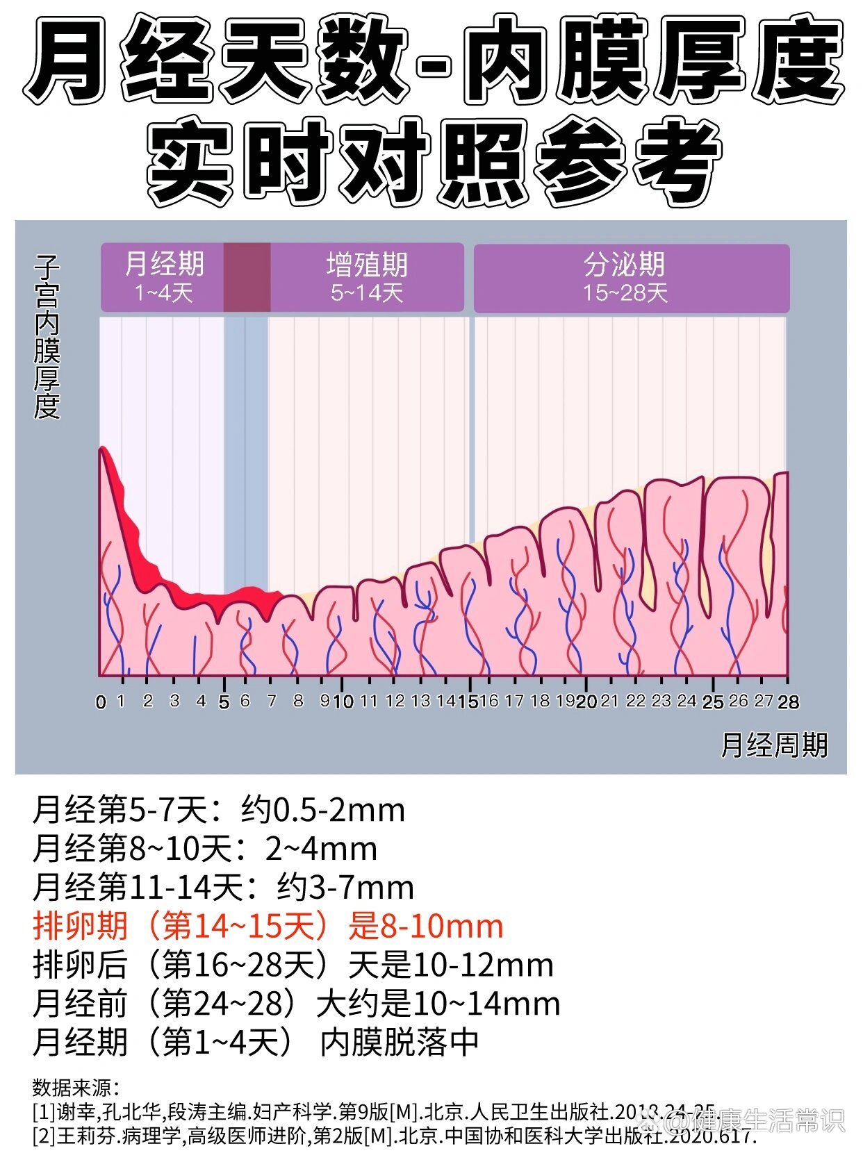 内膜厚度多少正常图片