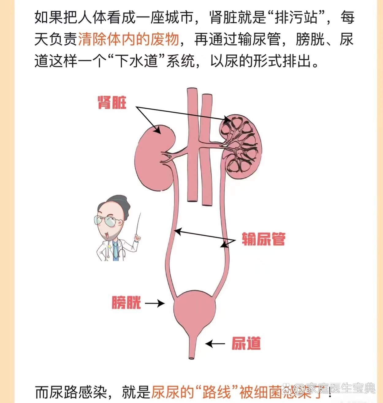 尿路感染分享