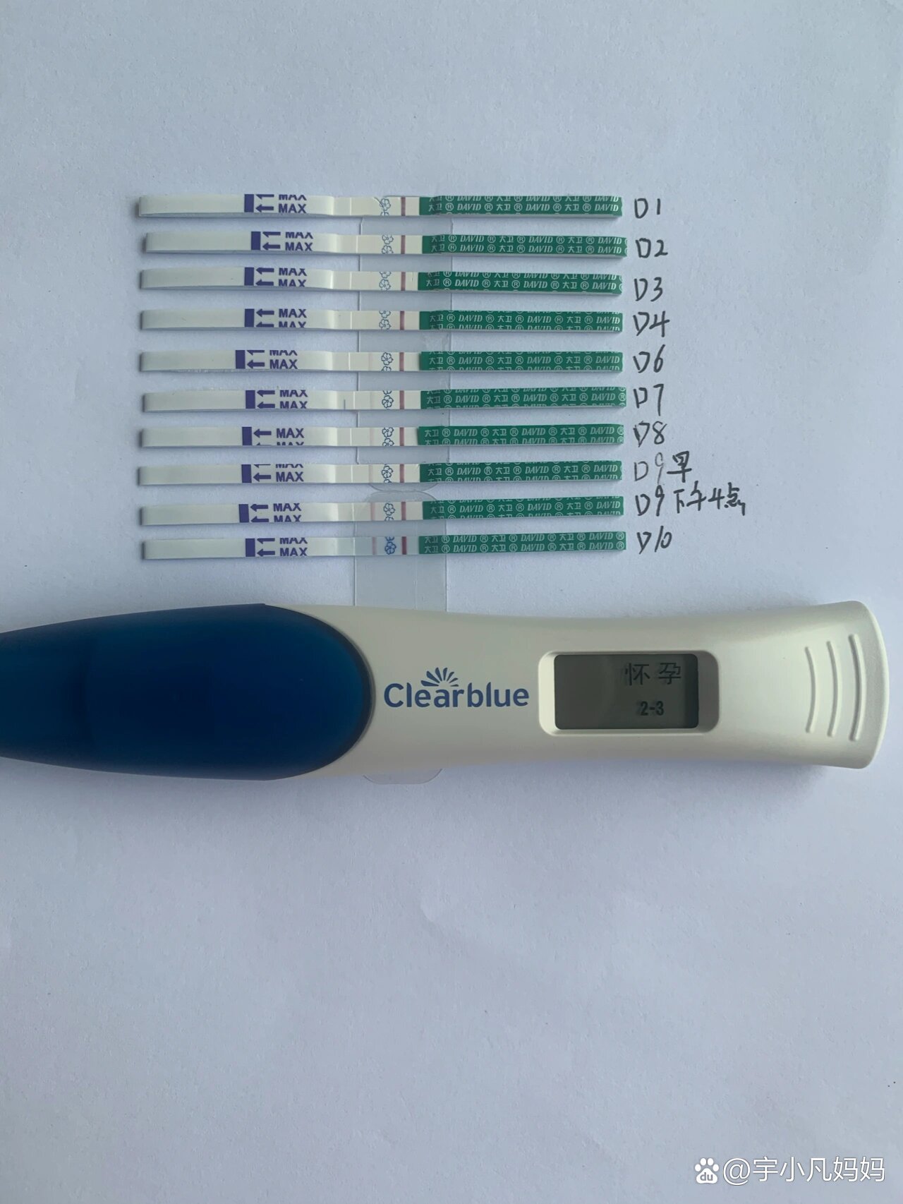 囊胚移植第10天白板_囊胚移植第10天白板也没有出血