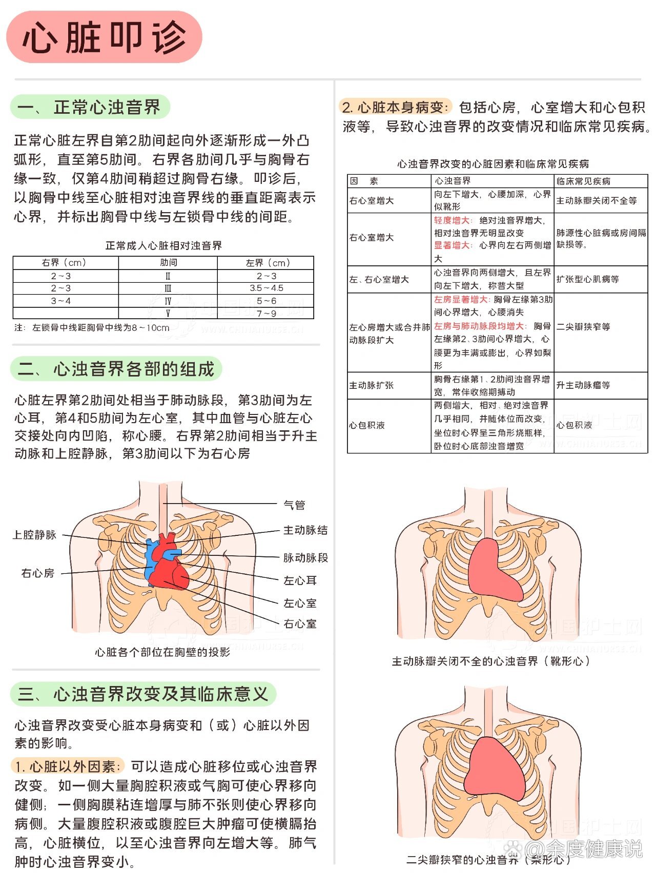 心脏浊音界叩诊画图图片