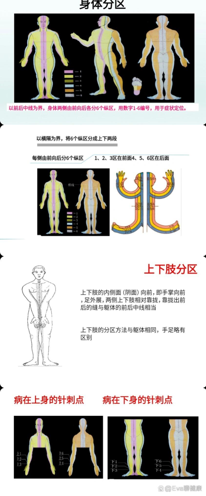 腕踝针法课件图片