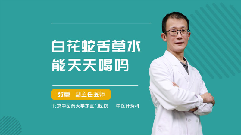 白花蛇舌草水能天天喝吗