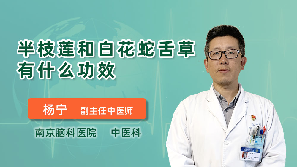 半枝莲和白花蛇舌草有什么功效