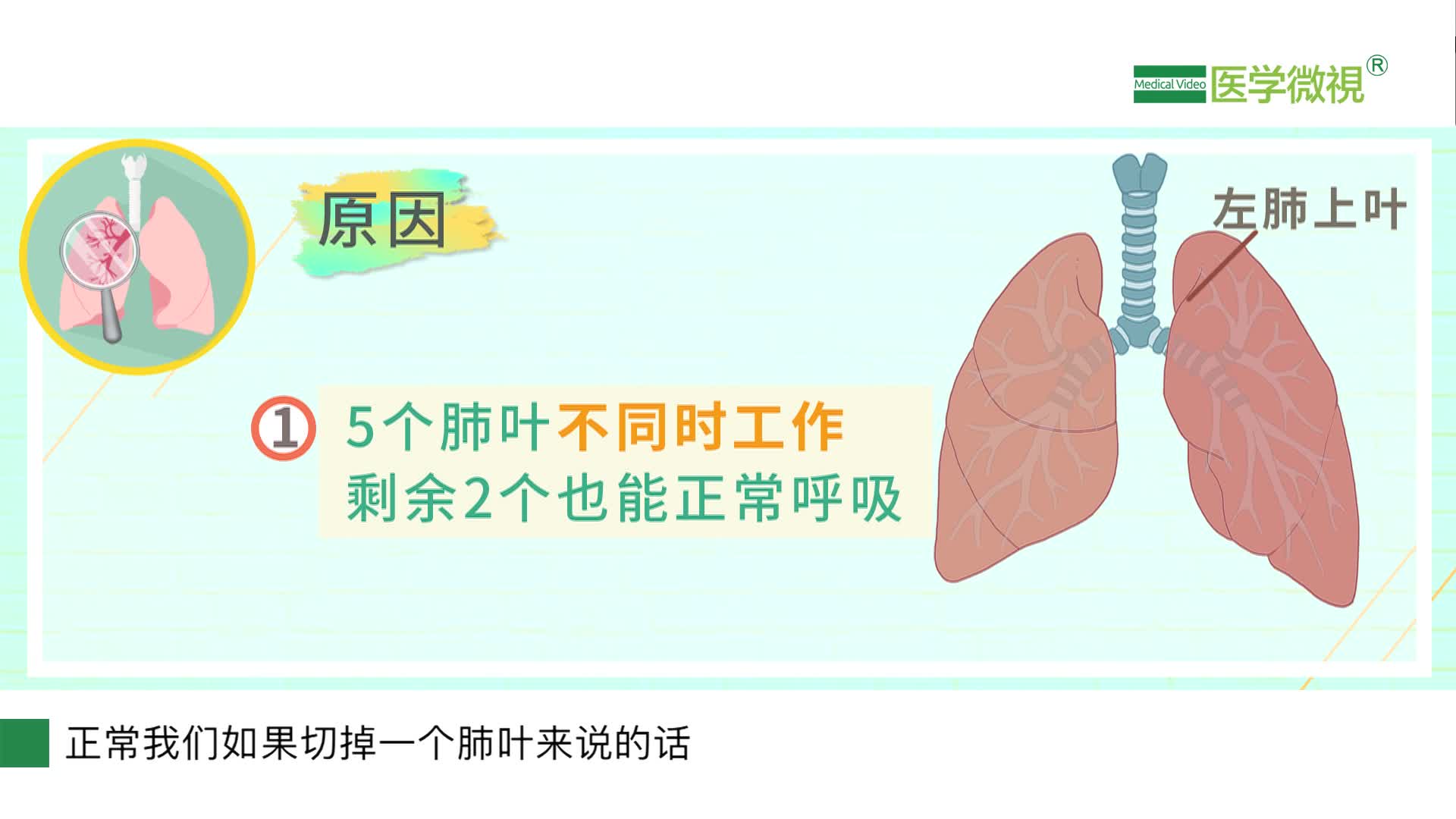早期肺癌：为什么手术切除肺组织后，不会影响肺功能？